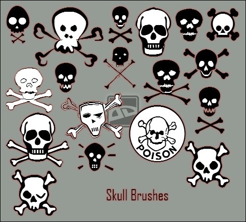 skull-brushes[7]