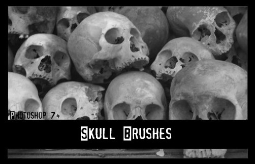 skull-brushes[9]