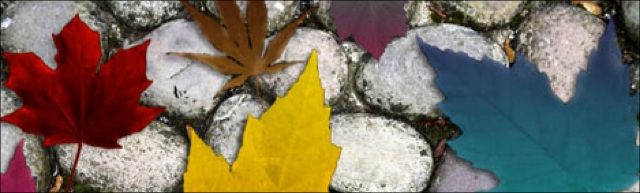 Autumn-Brushes–Maple-Leaf