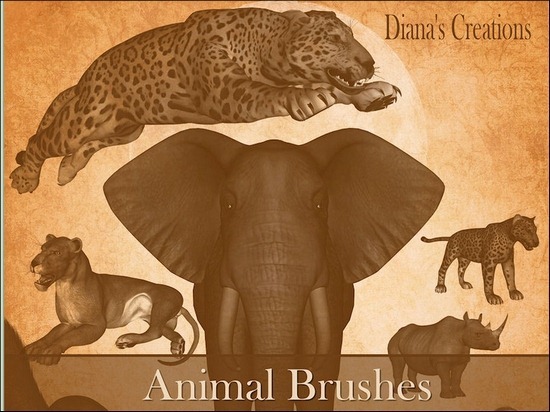 animal-brushes[9]