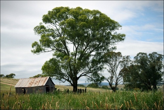 australian-landscape