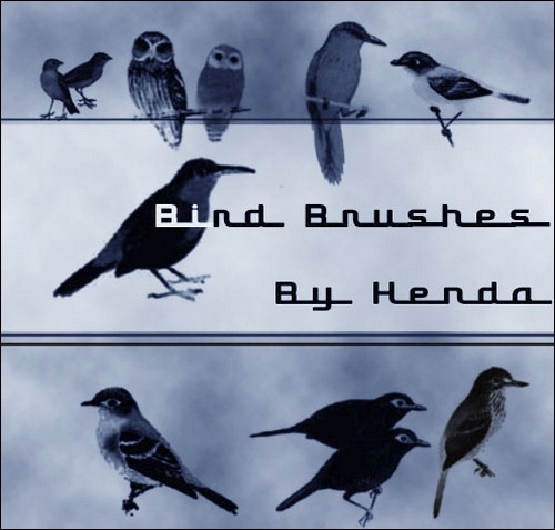 bird-brushes