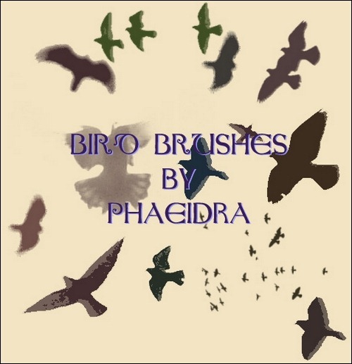 bird-brushes