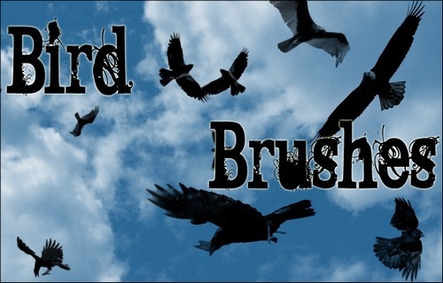 bird-brushes