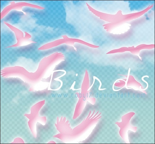 bird-brushes