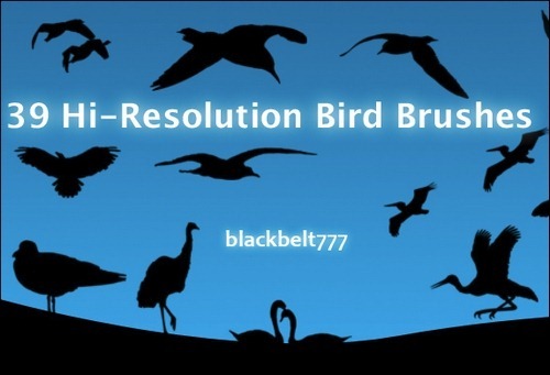 bird-brushes