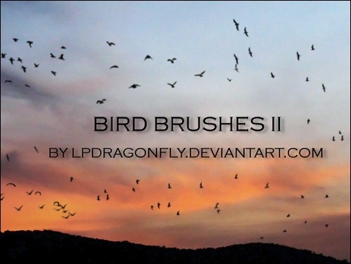 bird-brushes