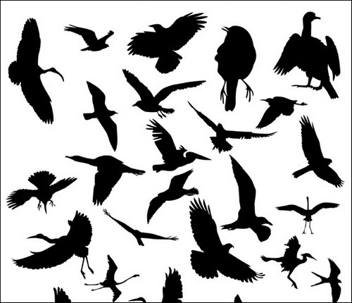 bird-silhouette-brushes