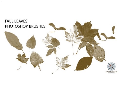 fall-leaves-photoshop-brushes