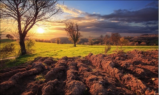 farmland