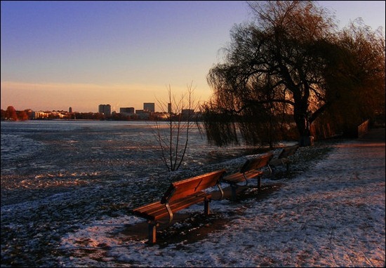 frozen-landscape