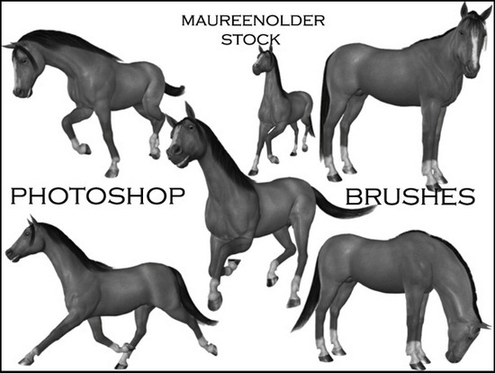 horse-brushes