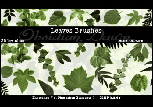 leaves-photoshop-brushes