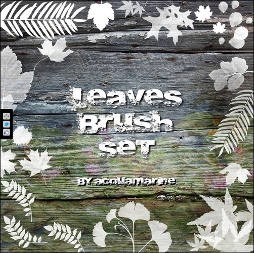 lovely-leaves-brush-set