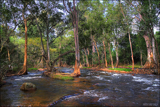 River at chinnar forest by Vinod Kumar M.