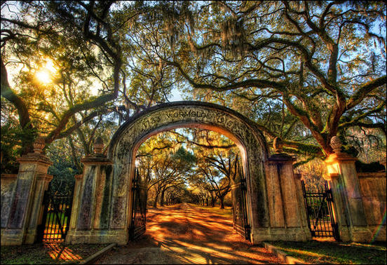 Wormsloe, the Endless Forest of Savannah by Trey Ratcliff