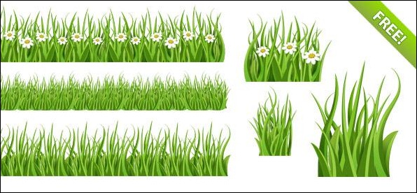 Green-Grass-PSD