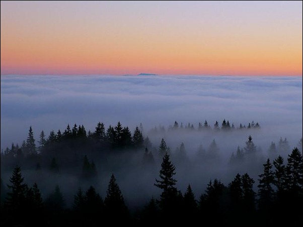 above-foggy