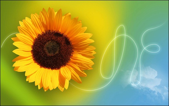 create-a-sunflower-themed-wallpaper