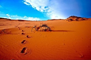 desert foot steps