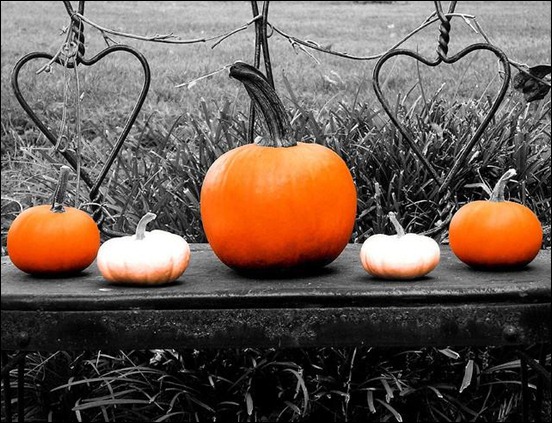 pumpkins-in-a-row