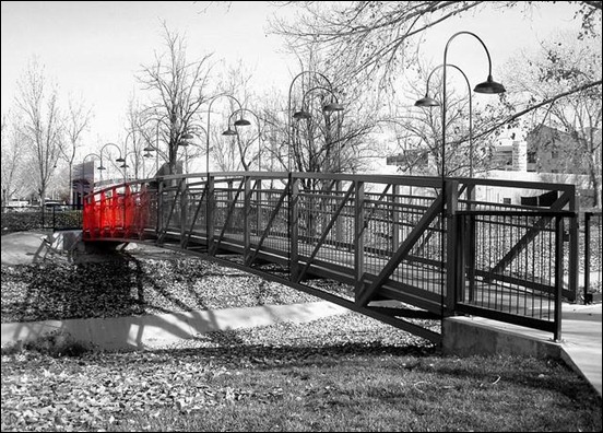 selective-color-photography[3]