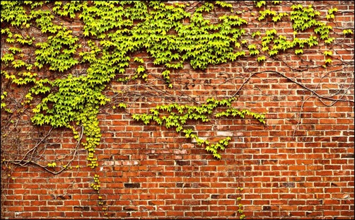 brick-wall-panorama