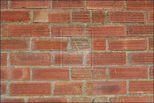 brick-wall-texture[7]