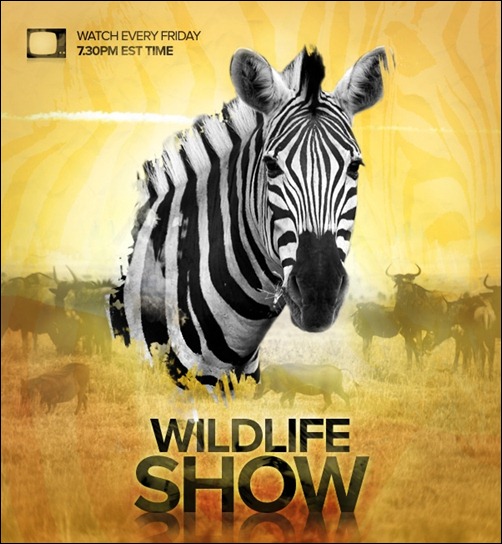 design-a-wildlife-tv-show-poster