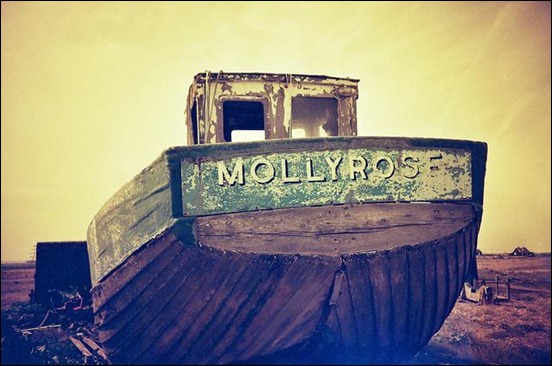 molly-rose