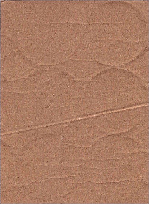 cardboard-texture[15]