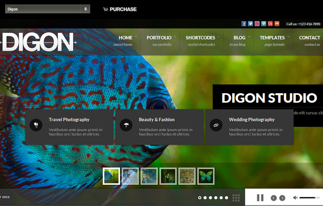 Digon, fullscreen wordpress theme