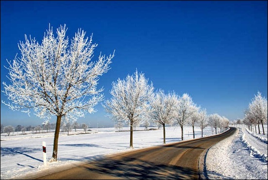 a-country-road-in-winter