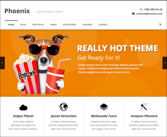 phoenix-clean-responsive-wordpress-theme