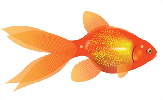 how-to-create-a-vector-goldfish