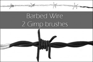 Barbed_wire_brush_by_Cat_in_the_Stock