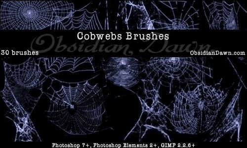 cobwebs-photoshop-brushes-