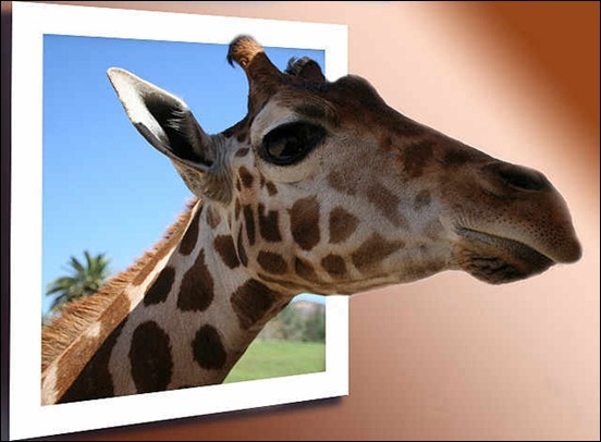 giraffee-kiss