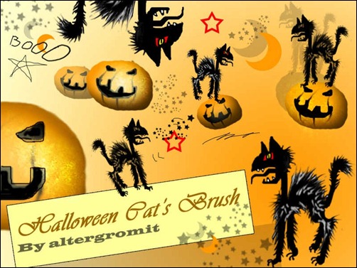 halloween-cat-brush-