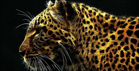 leopard[3]