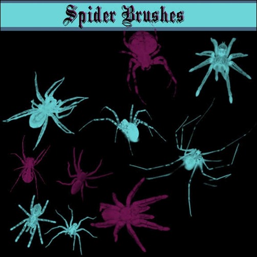 spider-brushes