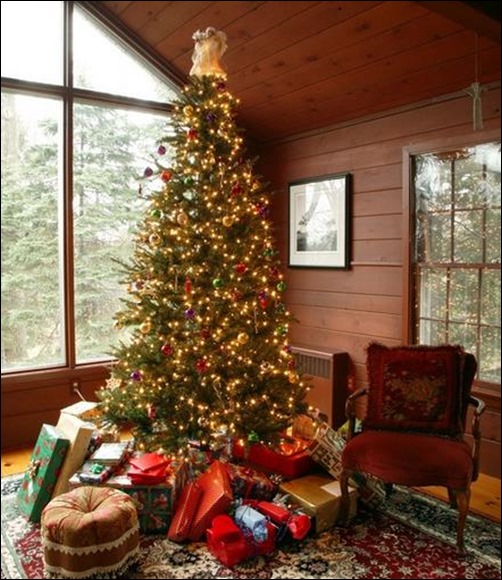 beautiful-Christmas-tree