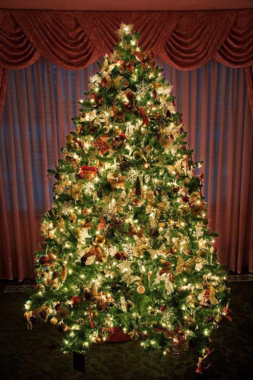 24 Beautiful Christmas Tree Pictures - Creative CanCreative Can