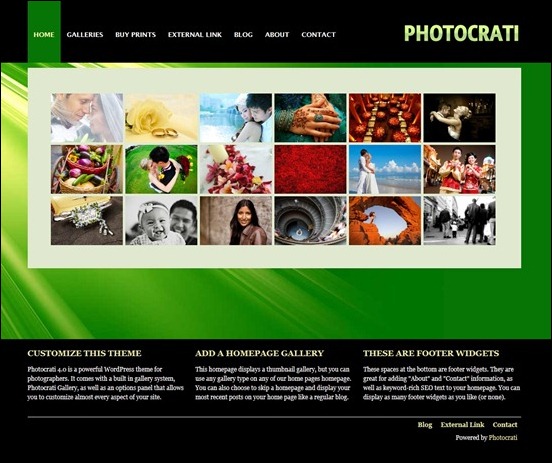 This is the Photocrati Focus theme specially made for photographers. It is a theme framework that can be used to set up many types of photograpthy oriented websites