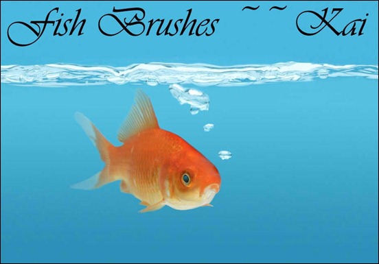 a-set-of-fish-brushes--for-photoshop-cs3
