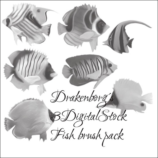 drakenborg's-fish-brushes