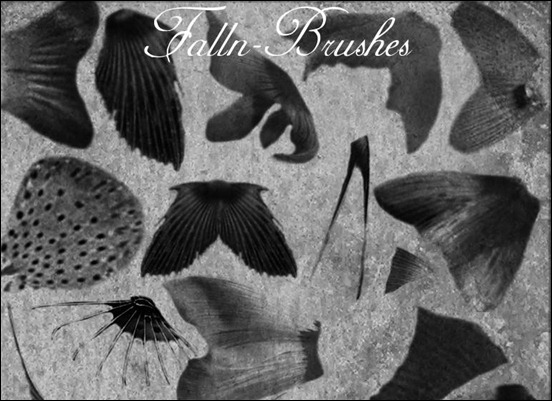 fish-fins-brushes-