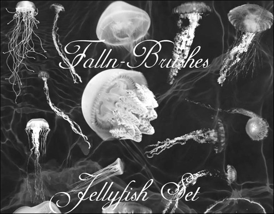 jellyfish-brushes-set