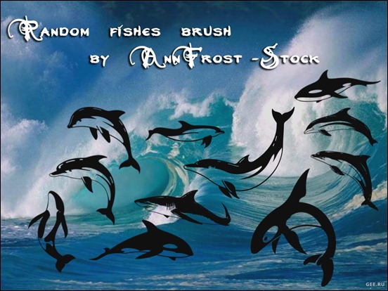 random-fishes-brush-set