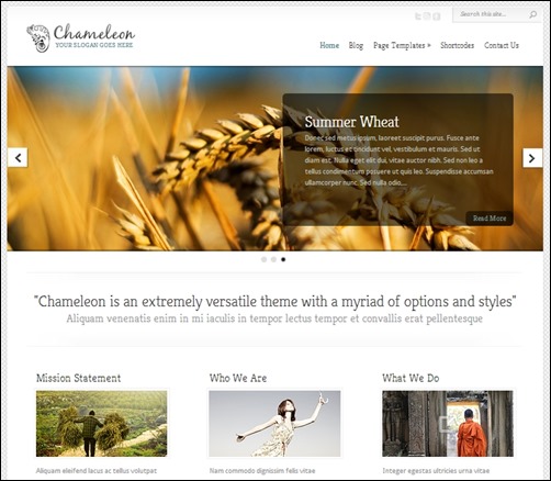 Chameleon-wordpress-travel-theme